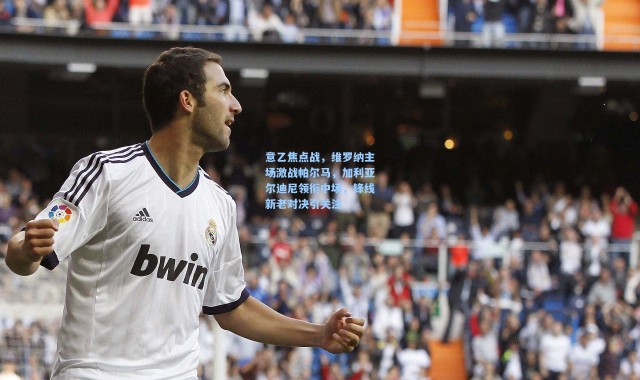 意乙焦点战，维罗纳主场激战帕尔马，加利亚尔迪尼领衔中场，锋线新老对决引关注