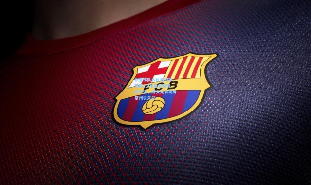 职业梯队大比武鸣锣，苏超2.0军备竞赛悄然升温，国安元素现身常州引关注