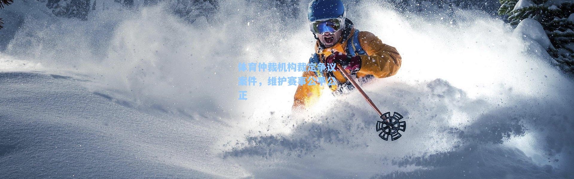 体育仲裁机构裁定争议案件，维护赛事公平公正