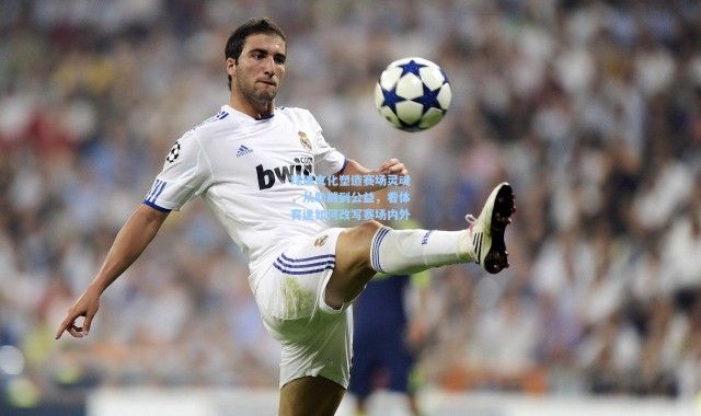 球迷文化塑造赛场灵魂，从助威到公益，看体育迷如何改写赛场内外