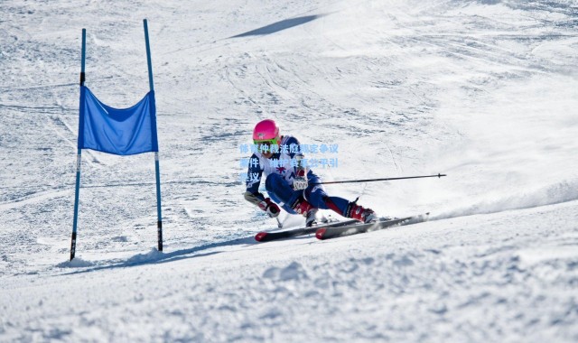 体育仲裁法庭裁定争议案件，维护赛事公平引热议