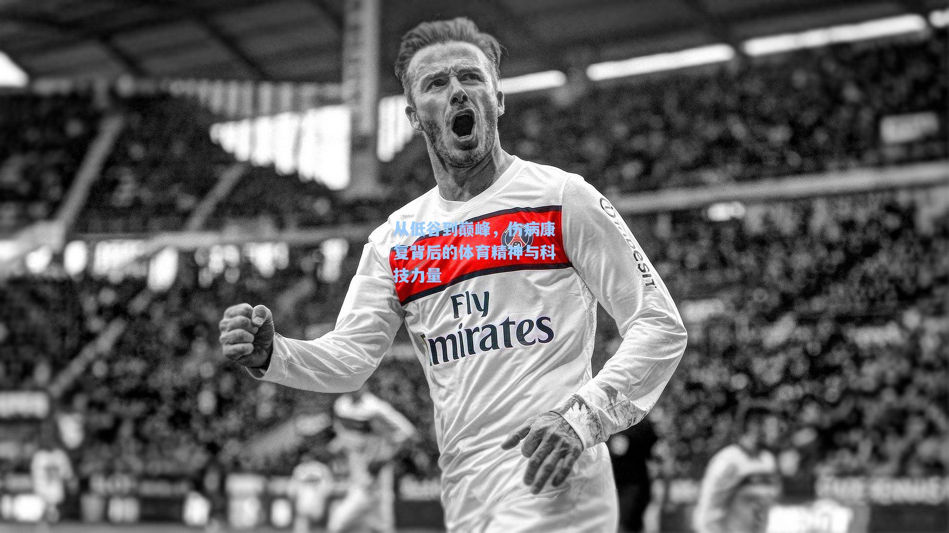 从低谷到巅峰,伤病康复背后的体育精神与科技力量