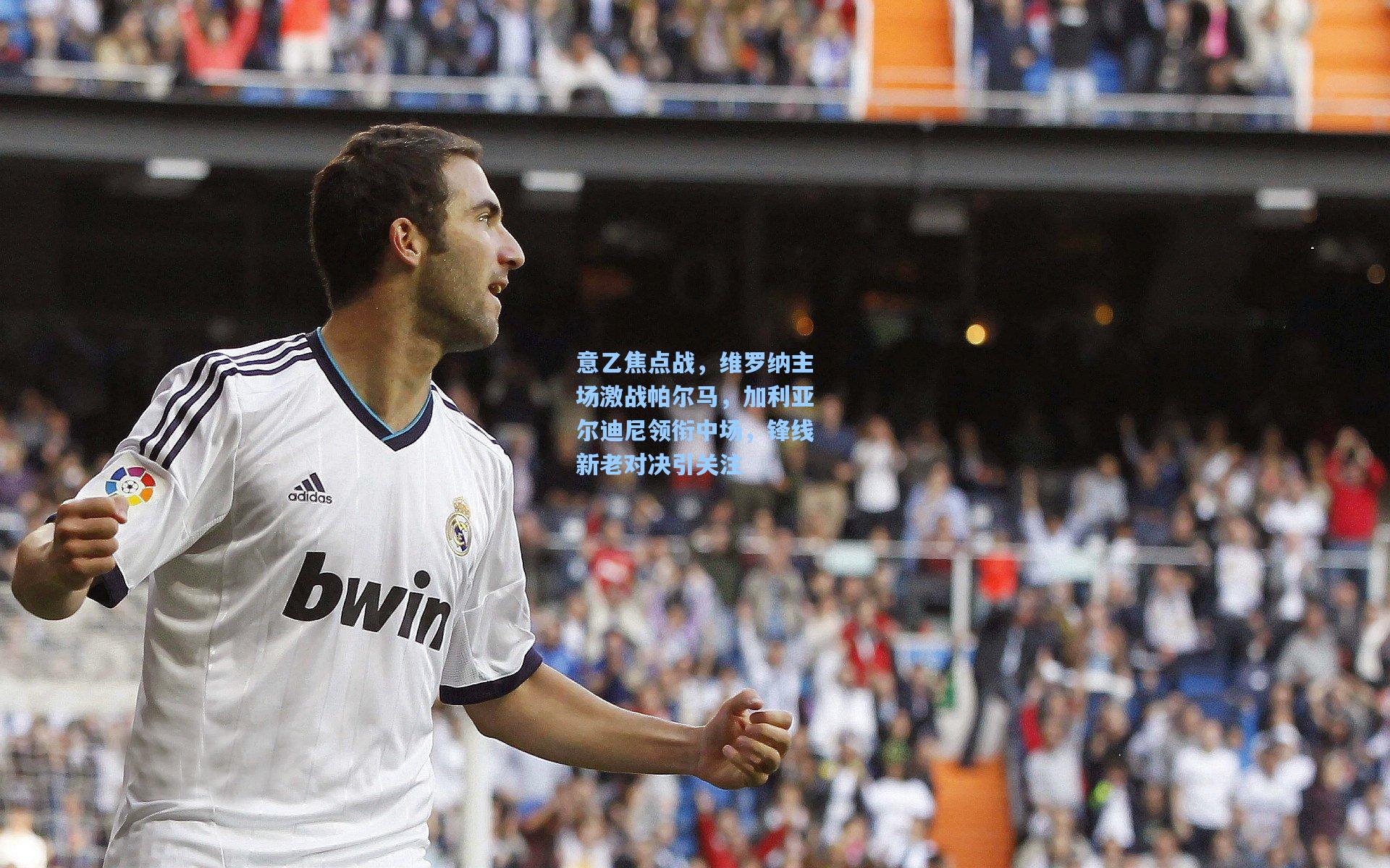 意乙焦点战，维罗纳主场激战帕尔马，加利亚尔迪尼领衔中场，锋线新老对决引关注